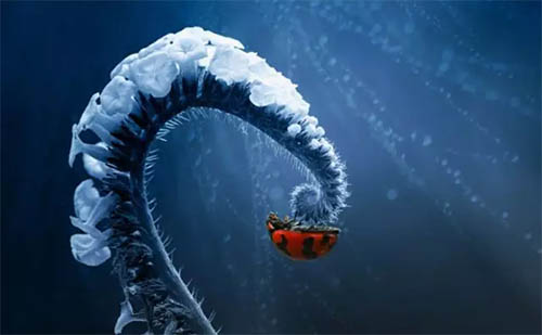 攝影作品2 攝影作品2