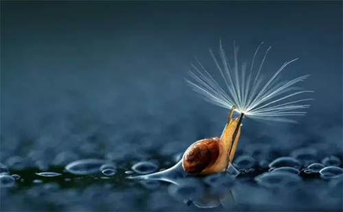 攝影作品1 攝影作品1