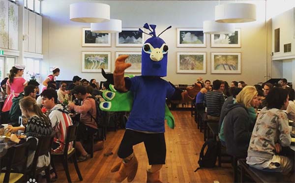 西澳大學2 西澳大學2