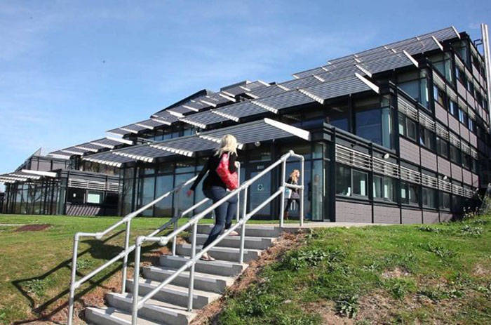 布萊頓大學(xué)校景4