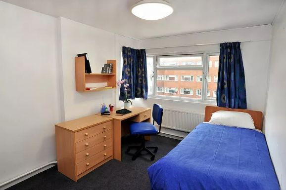 布魯內(nèi)爾大學校景