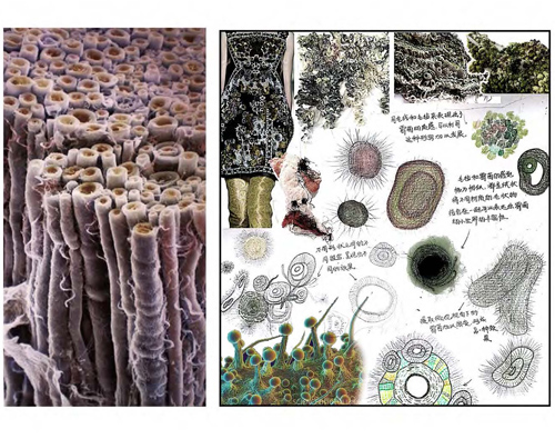 珠寶設(shè)計(jì)作品4