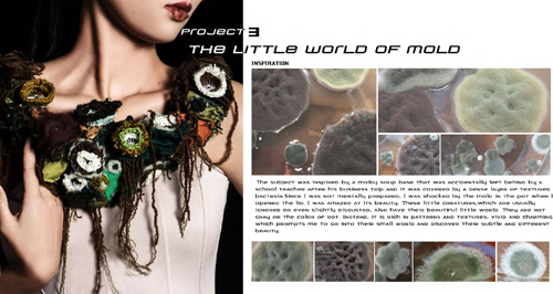 珠寶設(shè)計(jì)作品1